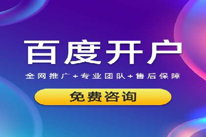 SEM搜索引擎优化成功案例，揭示优化策略与技巧